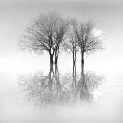Flooded