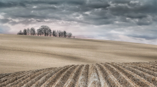 Freshly-Ploughed-v2-PDI