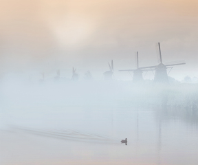 Kinderdijk-Windmills-v2