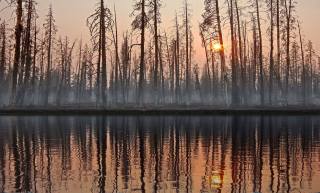 After the Fire