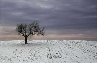 Alone on the Hill