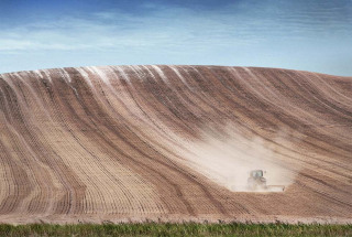 Dust Trail