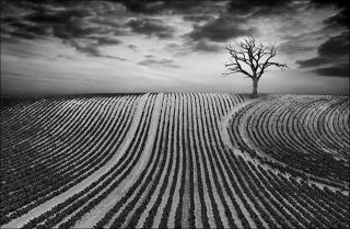 Furrowed Hill