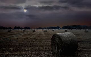 Harvest Moon