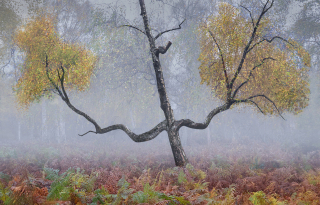 Peter-North_The-Guardian