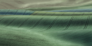 Peter-North_Shades Of Green