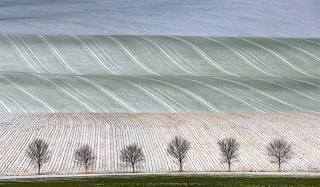 Peter North_Snowdust
