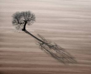 Peter North_Winter-Shadow