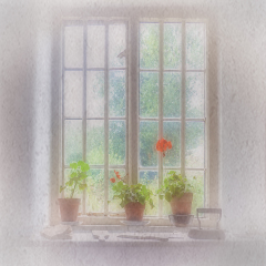 The Windowsill