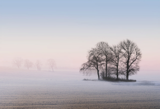 Peter-North_Frosty-Dawn-PDI