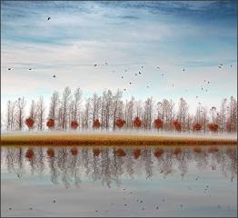 Autumn Reflections