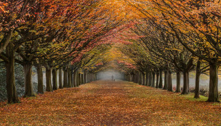 Autumn Stroll