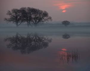 Midwinter Sunset