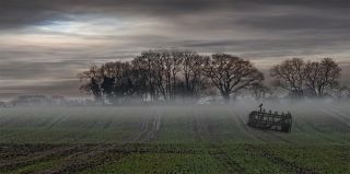 Midwinter