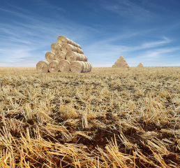 Pyramids of Straw