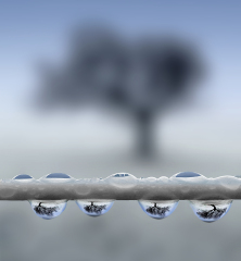 Peter North Raindrops on the Washing Line (Highly Commended, Your View LPOTY 2018)