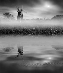Ripples