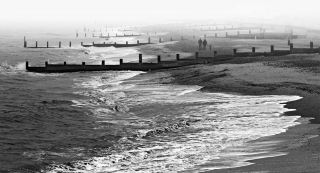 Sea Mist