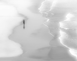 Shoreline Stroll