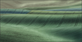 Shades of Green. Commended, Your View 2017