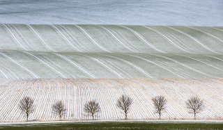 Snowdust . Runner-Up, Your View 2015
