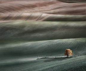 Undulating Fields. Commended, Your View 2022