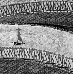 Shadows on the Walkway