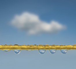 Clouds on the Washing Line
