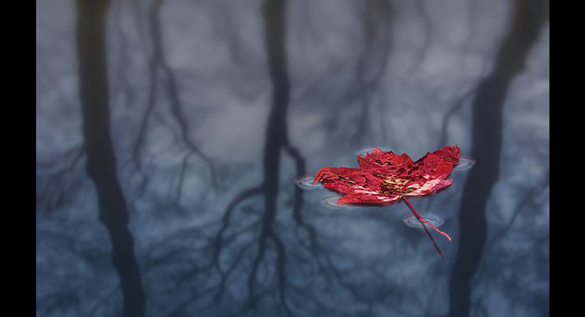 Floating (Copy)