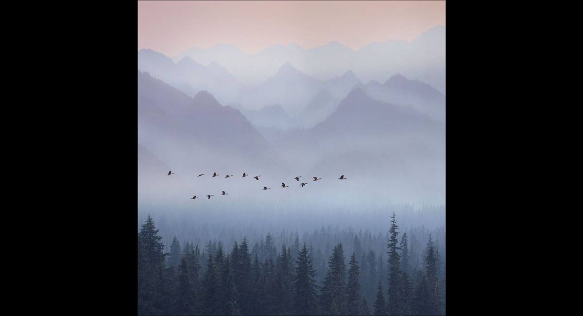 Flying-Through-the-Valley (Copy)