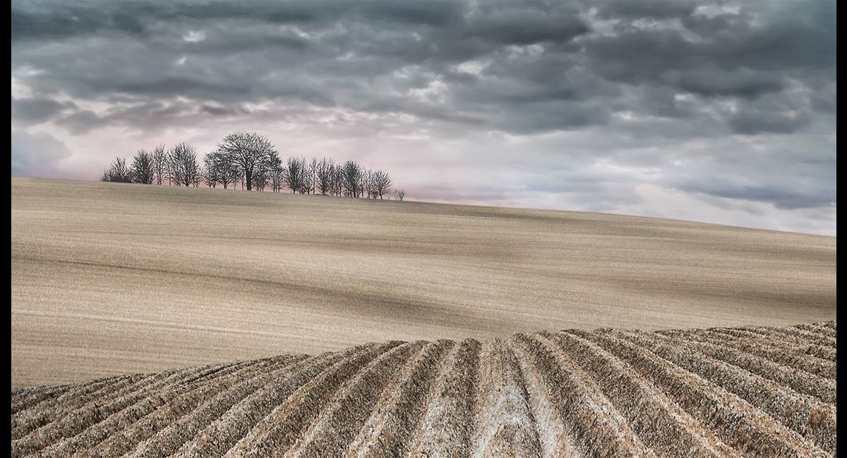 Freshly-Ploughed-v2-PDI (Copy)