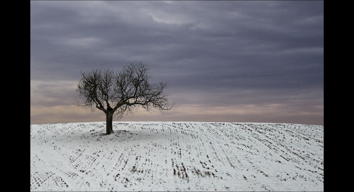 Peter-North_Alone-on-the-Hill (Copy)
