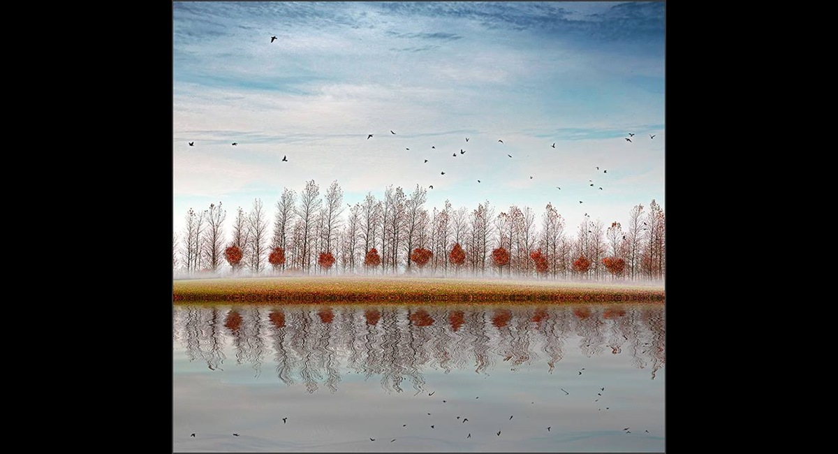 Peter-North_Autumn-Reflections (Copy)