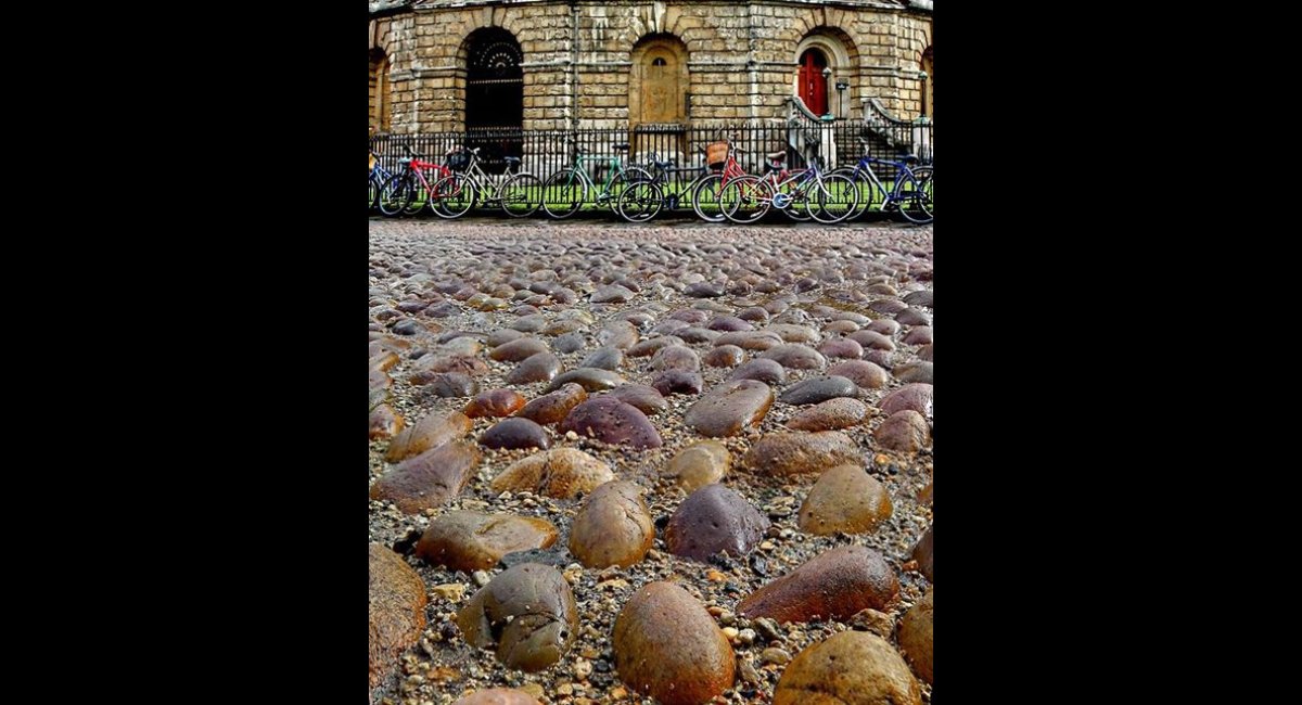 Peter-North_Bicycles (Copy)