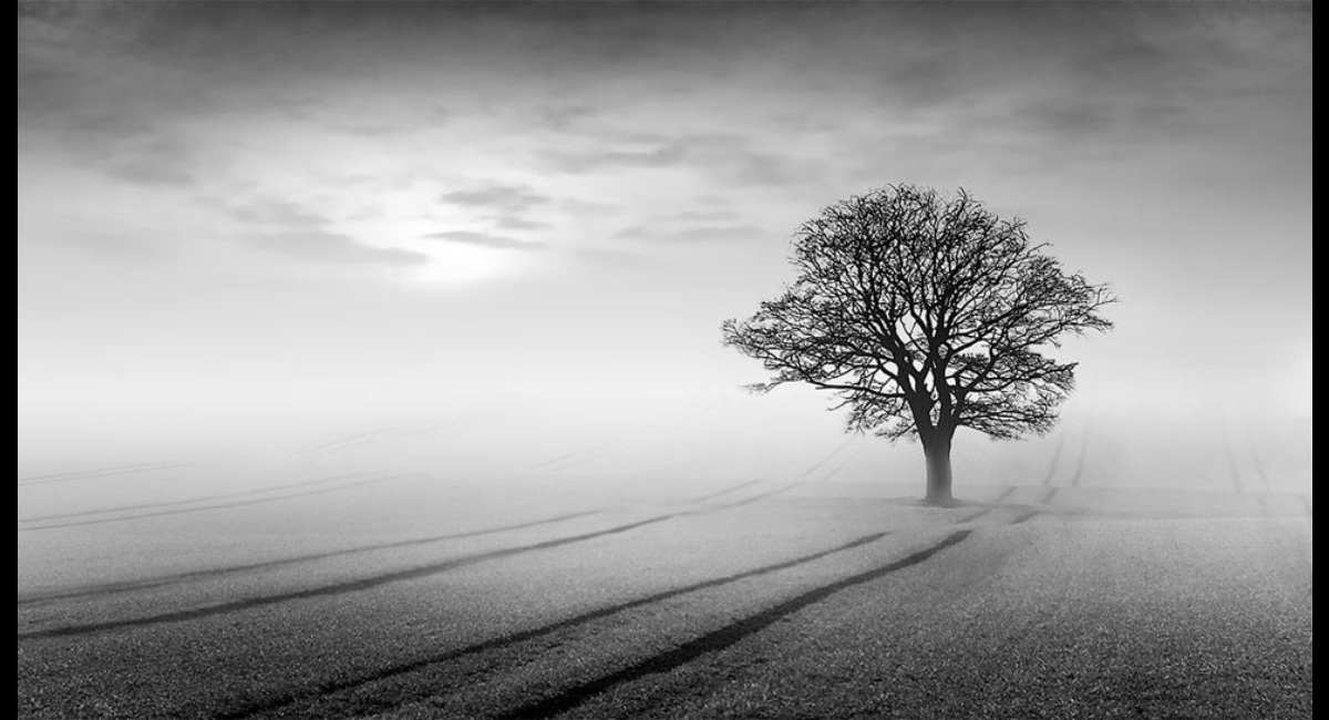 Peter-North_Dawn-Mist (Copy)