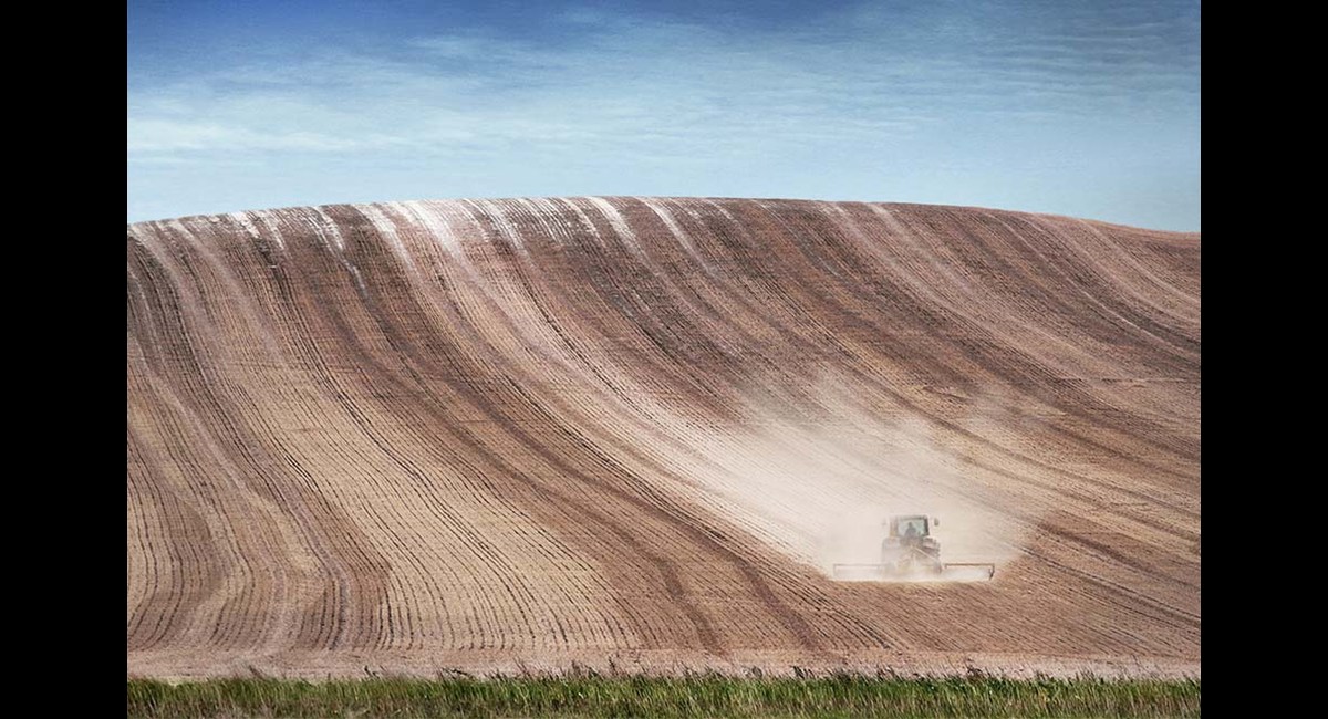 Peter-North_Dust-Trail (Copy)