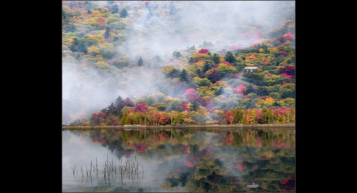 Peter-North_Fall-in-New-England (Copy)