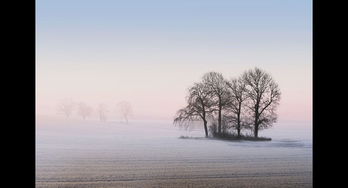 Peter-North_Frosty-Dawn-PDI (Copy)