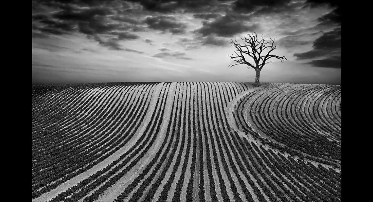 Peter-North_Furrowed-Hill (Copy)