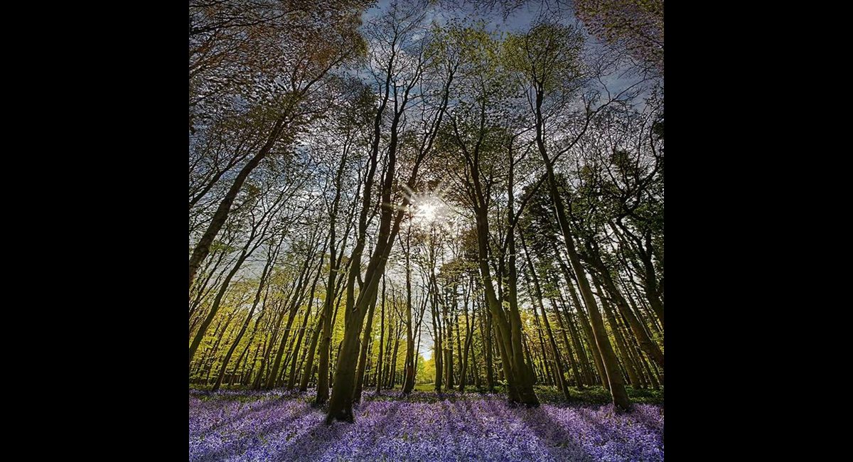 Peter-North_Howe-Wood (Copy)