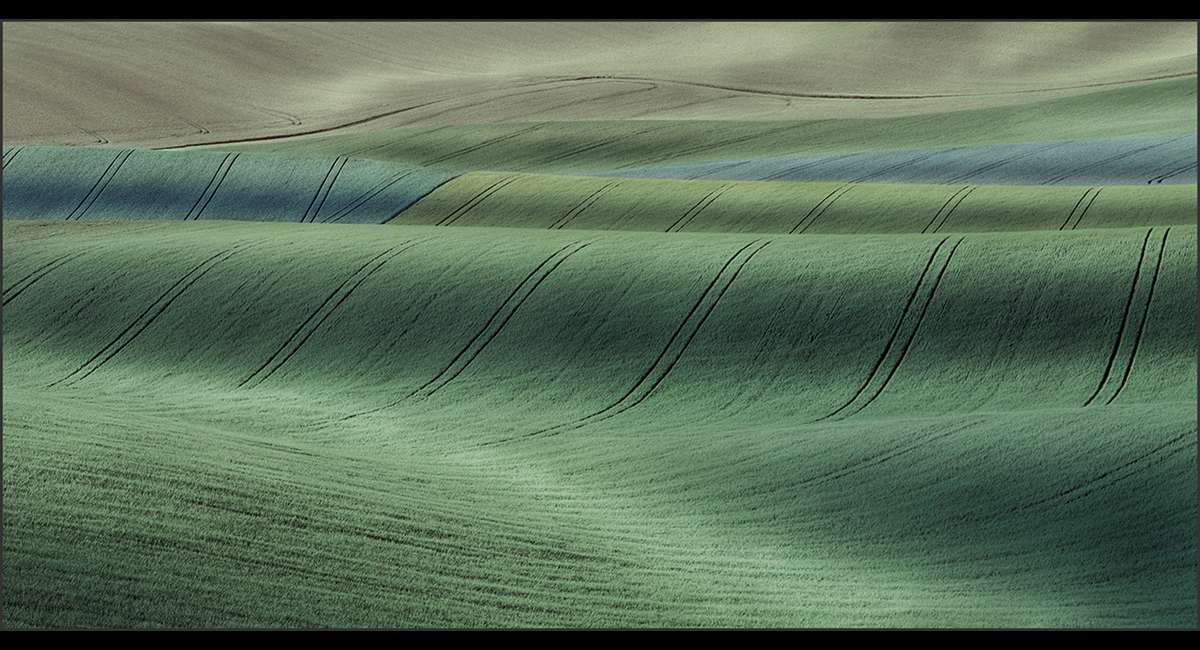 Peter-North_Shades-of-Green-1-1 (Copy)