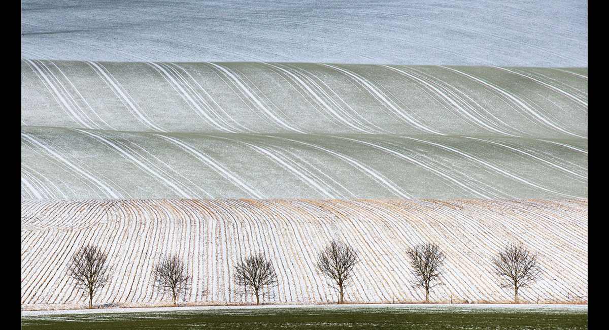 Peter-North_Snowdust-1-1 (Copy)