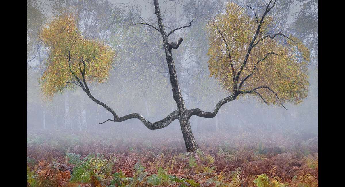 Peter-North_The-Guardian (Copy)