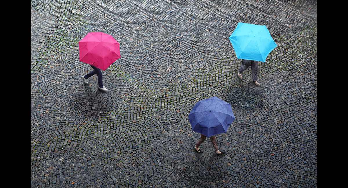 Peter-North_Umbrellas-With-Legs (Copy)
